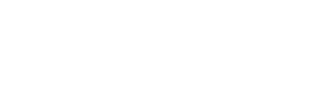 Arı Dış Ticaret