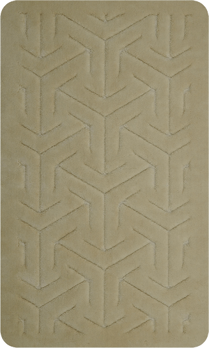 CTN-02-Brown